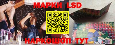 гидропоника Рязань