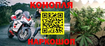 гидропоника Рязань